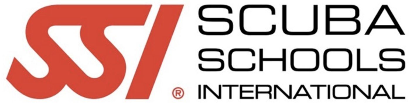 Ssi